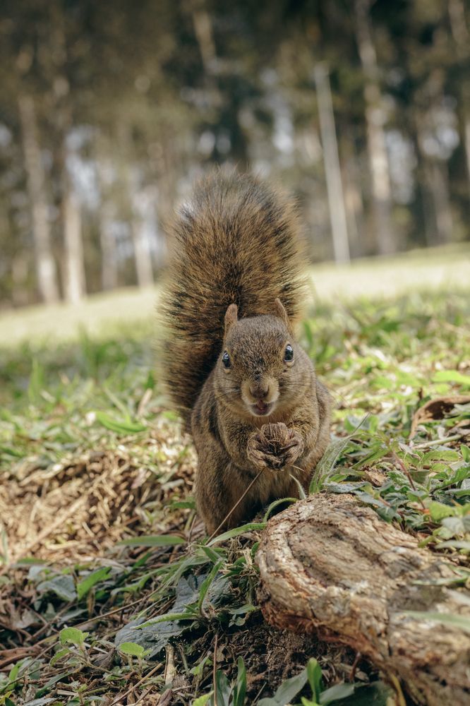 Photograph by Alexandre Canteiro Soares