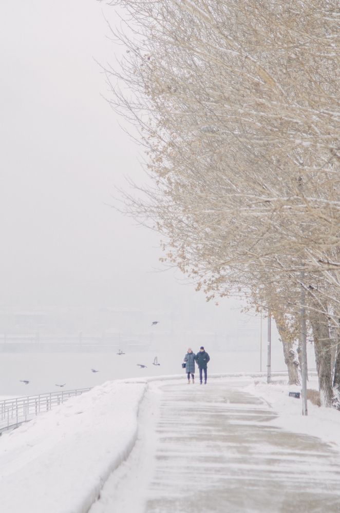 Photograph by Зуев Дмитрий