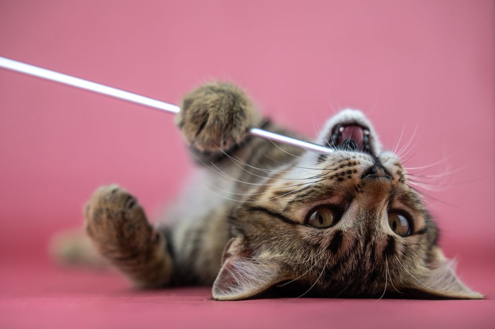 Photograph by Любовь Галушкина