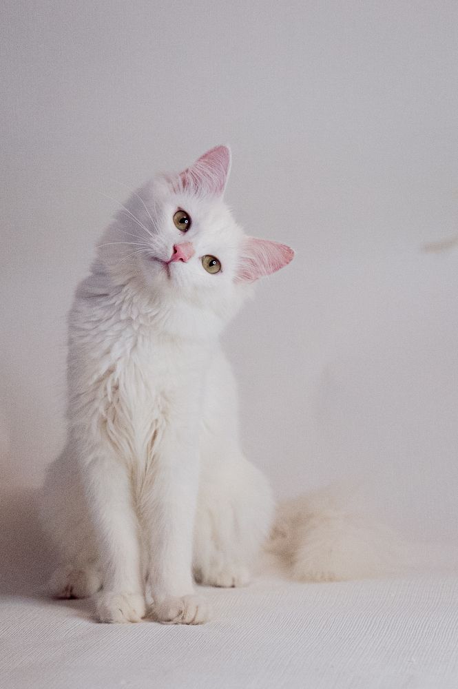 Photograph by Любовь Галушкина