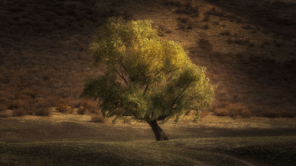 Photograph by Татьяна Бирюкова