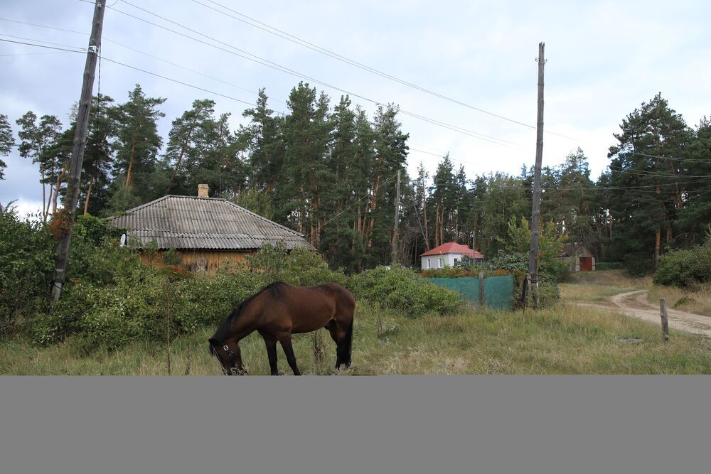 Photograph by Valeriy Bogushev