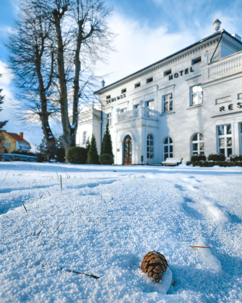 Снежный отдых