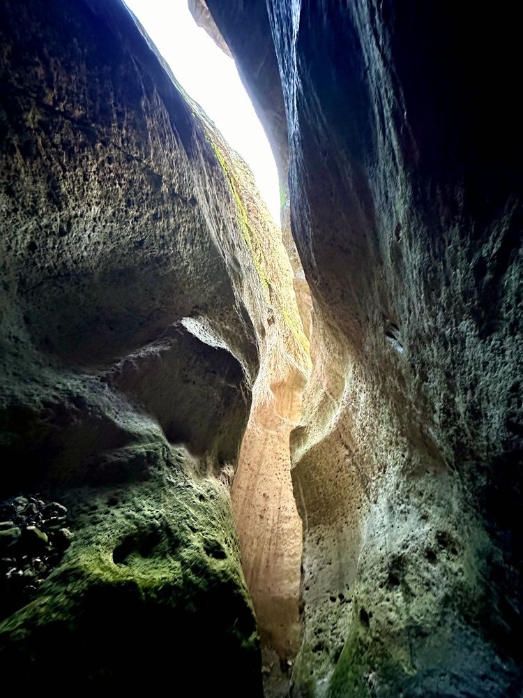Photograph by Ольга Байгажакова