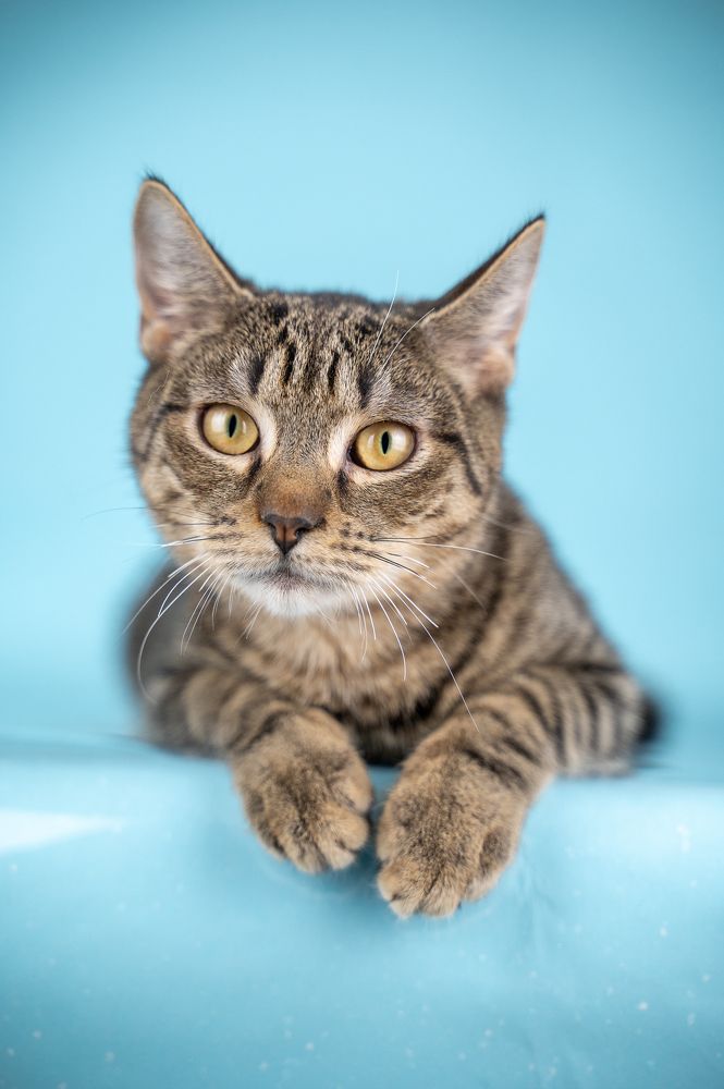 Photograph by Любовь Галушкина