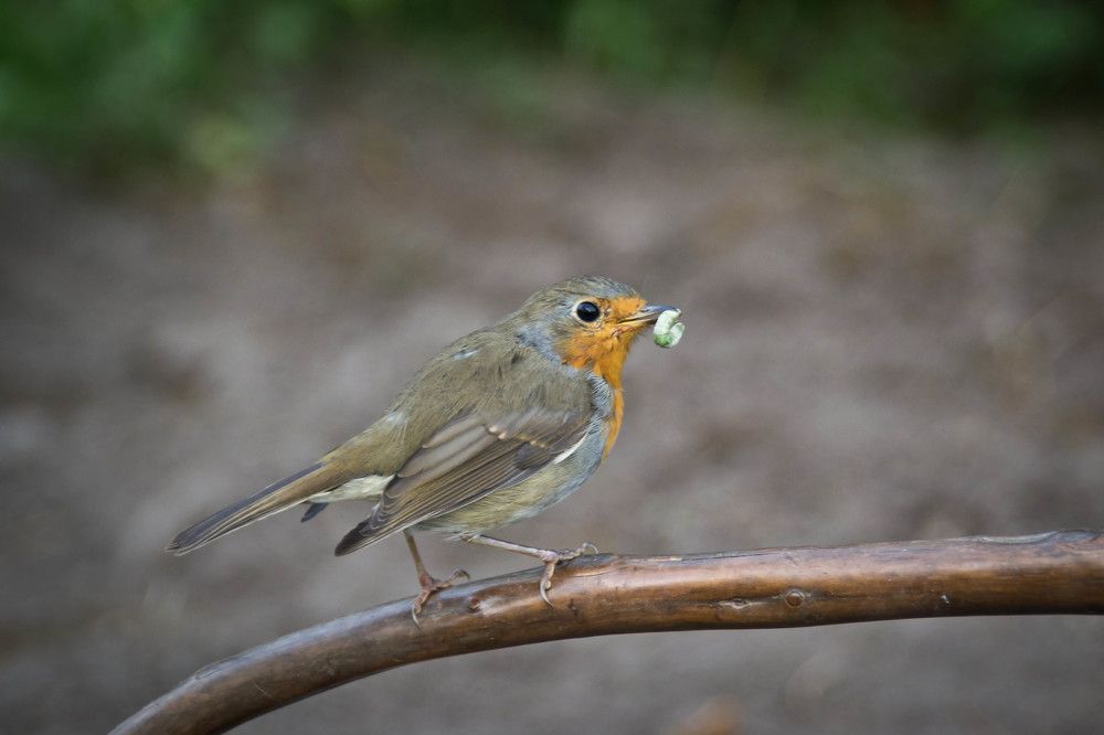 Фотография автора Юлия Кранина