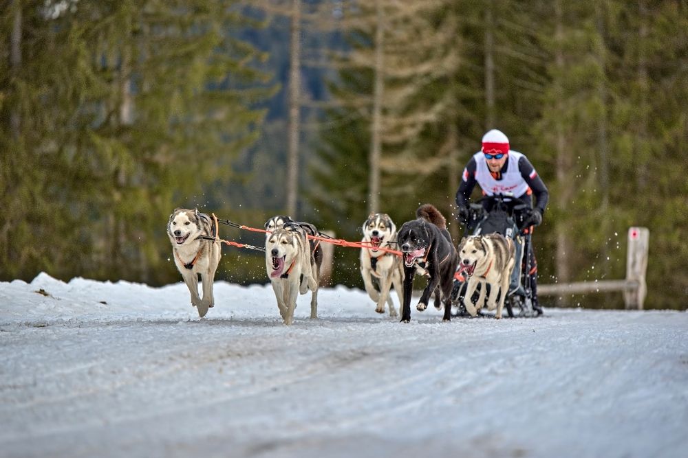Photograph by Milan Černák