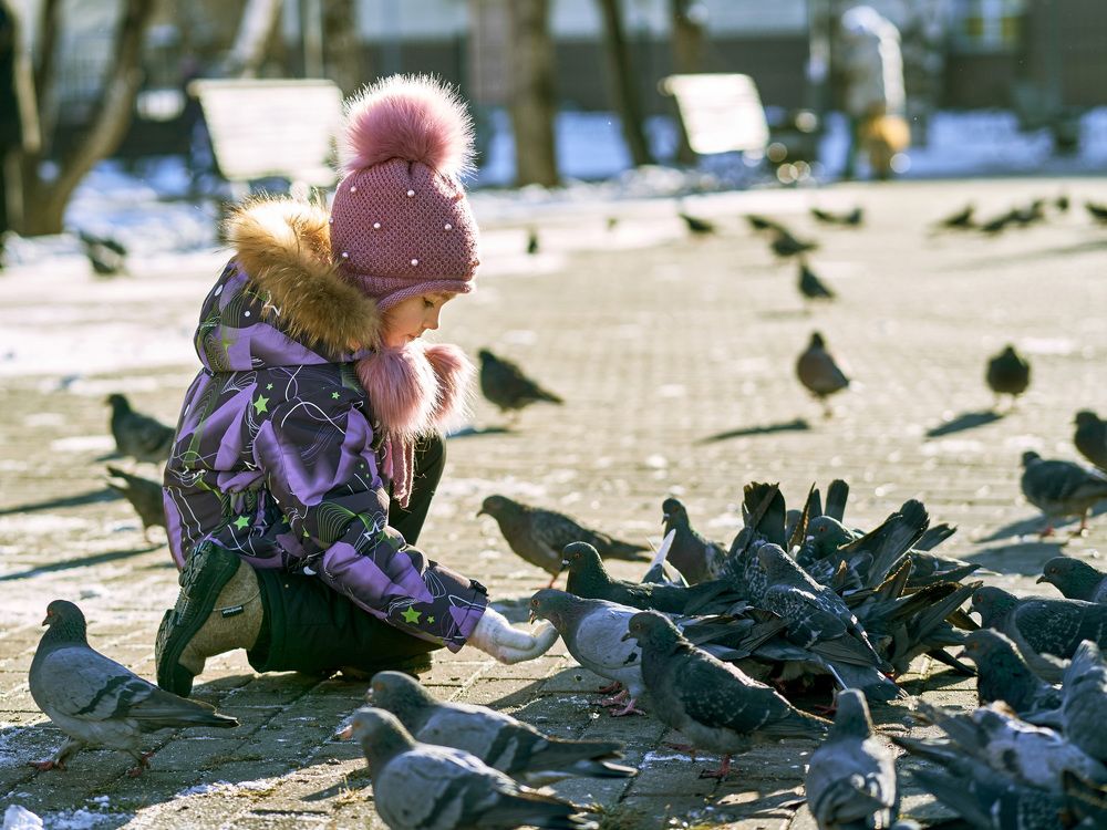Фотография автора Сергей Низовцев