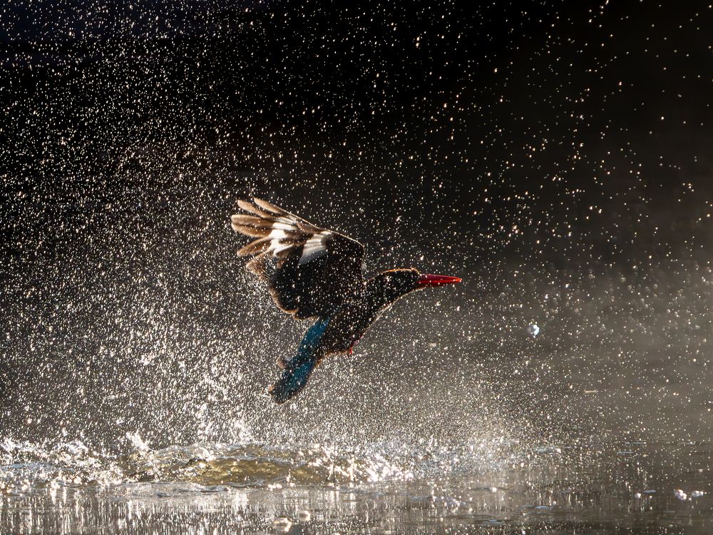 Photograph by Vipin P C