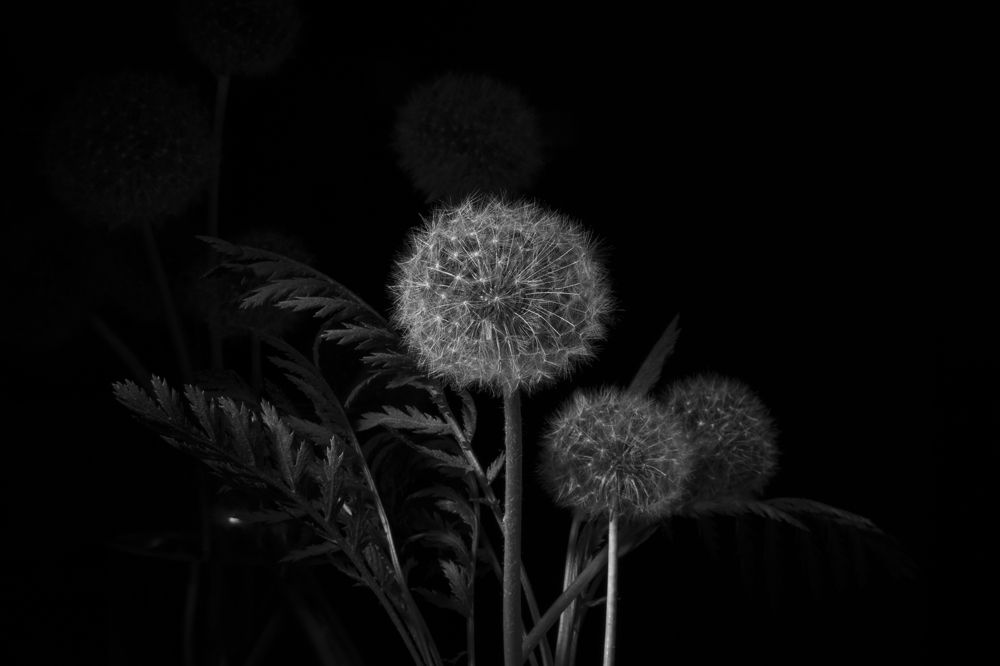 Photograph by Екатерина Бурикова