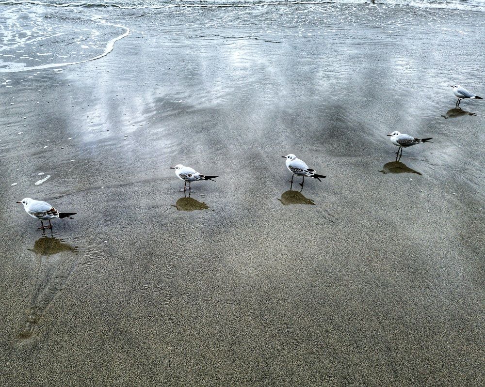 Photograph by Женя Жданова