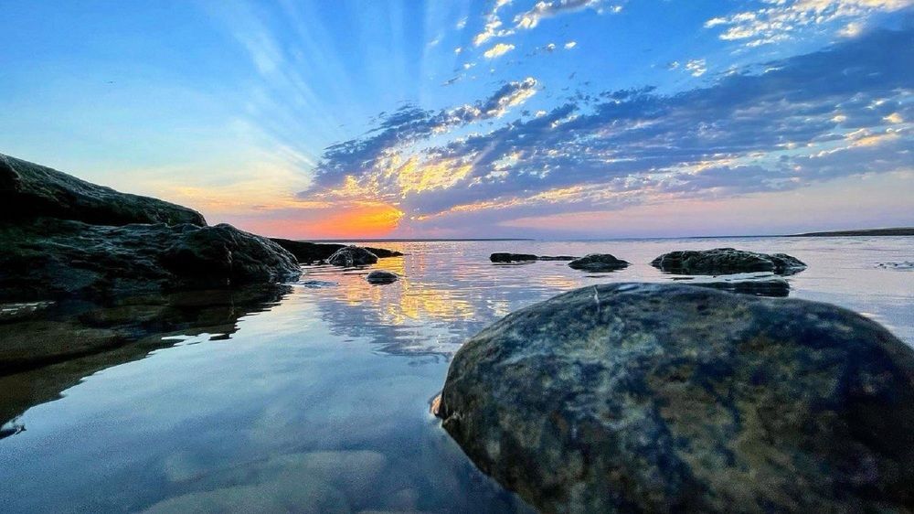 Утро на озере Маныч