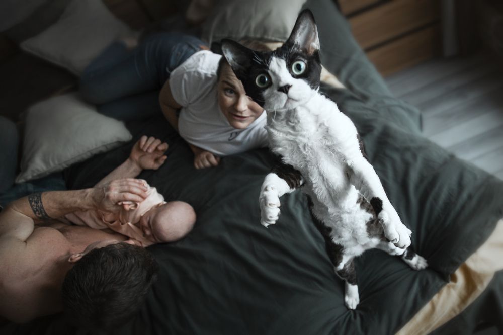 Photograph by Ева Золотова