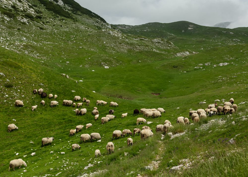 Durmitor mountains, Montenegro (2) | Горы Дурмитор, Черногория (2). 2023