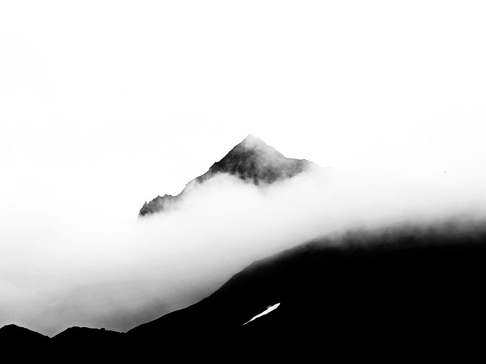Photo #10354932