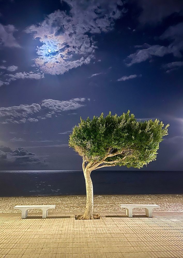 Photograph by Александр Белогаев