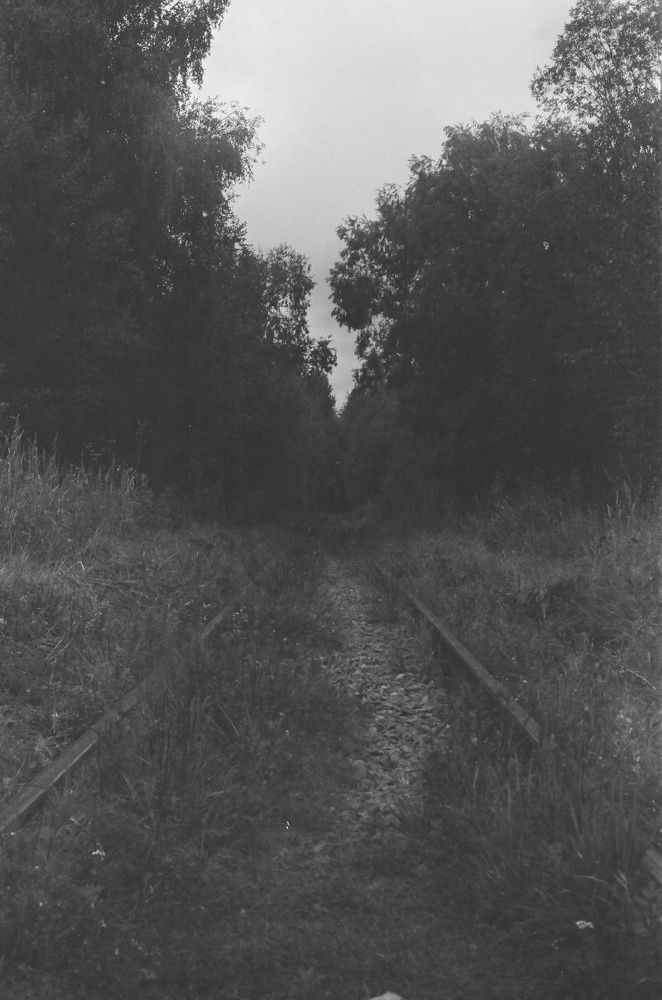 Photograph by Сергей Никифоров