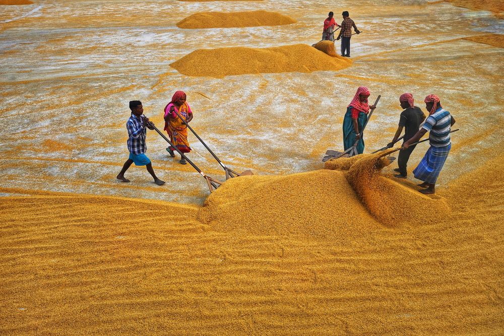 Photograph by DIBAKAR ROY