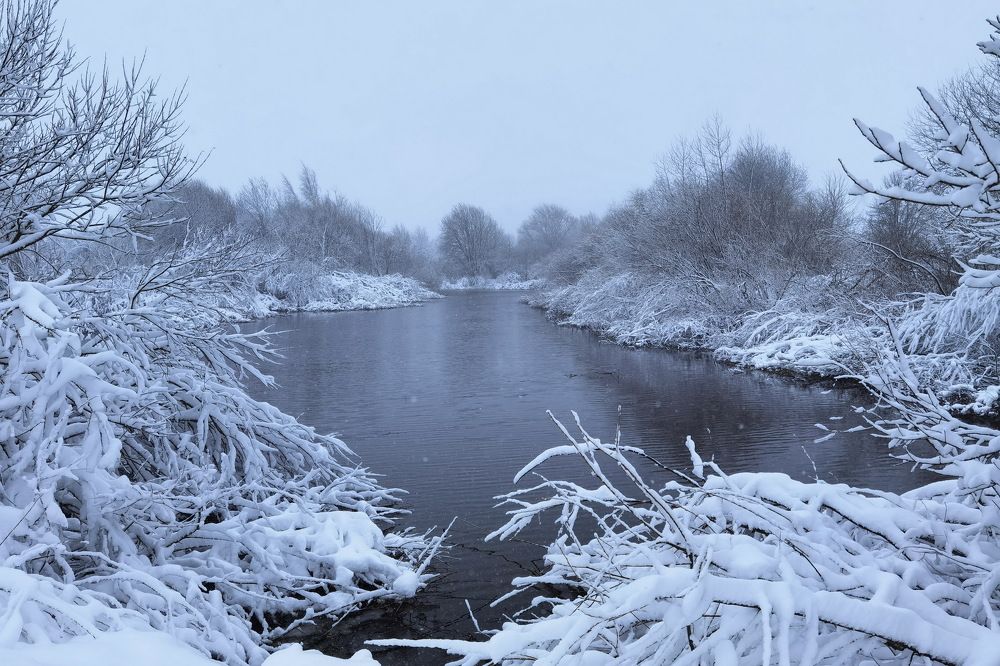 Photograph by Дмитрий Дрозд