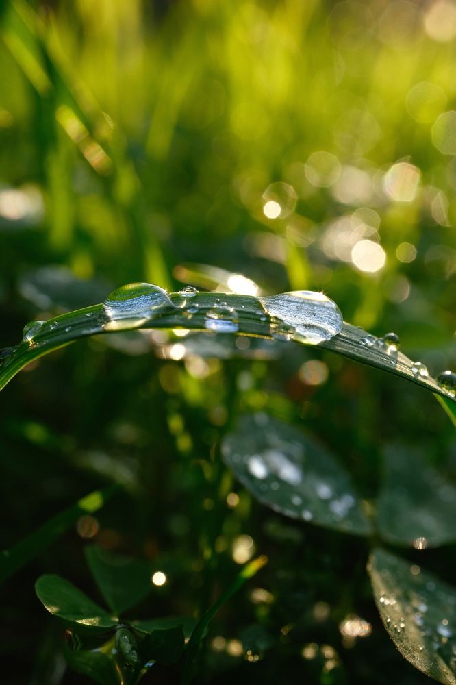 Photograph by Алексей Большаков