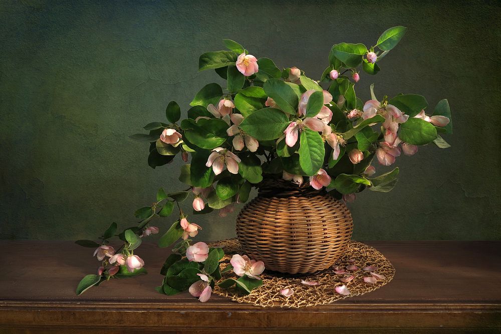 Photograph by Алла Шевченко