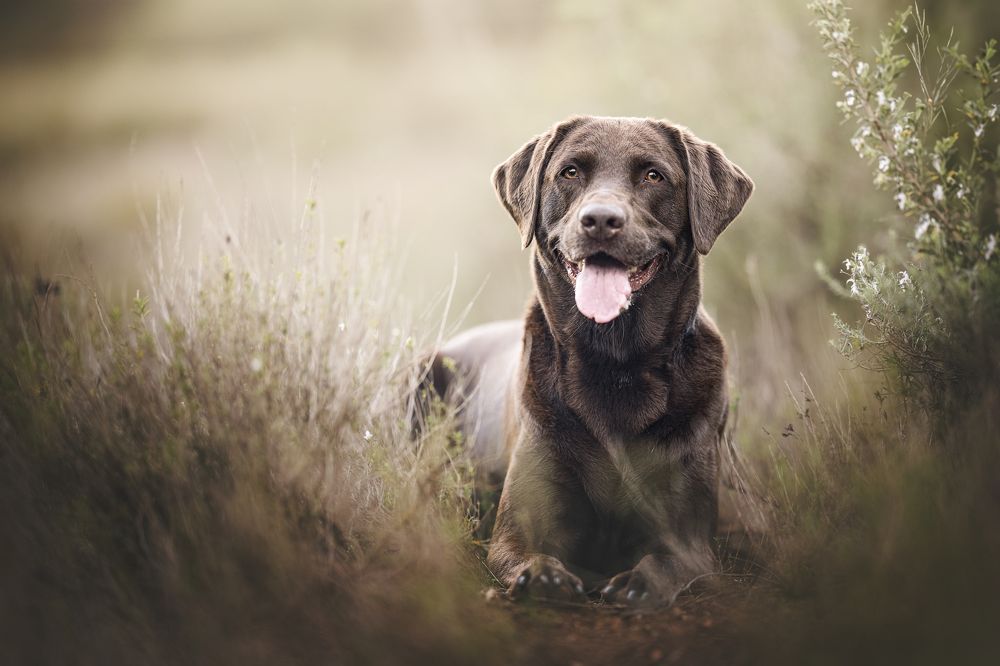 Фотография автора Rut Casanellas