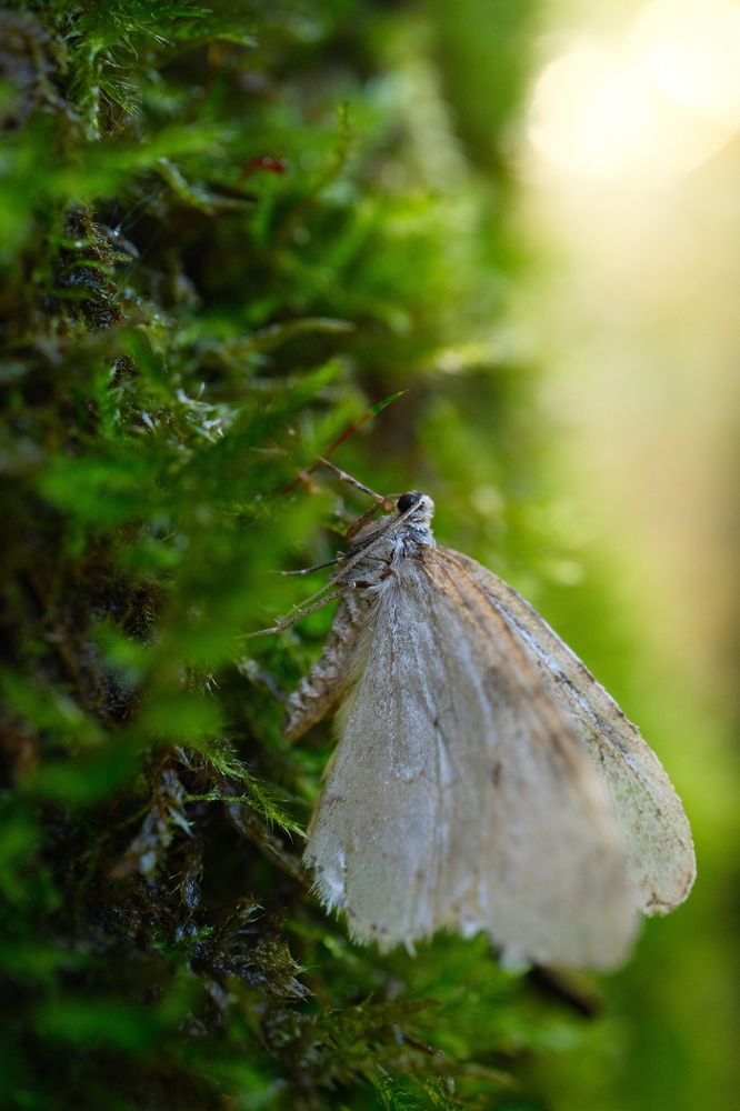 После дождя