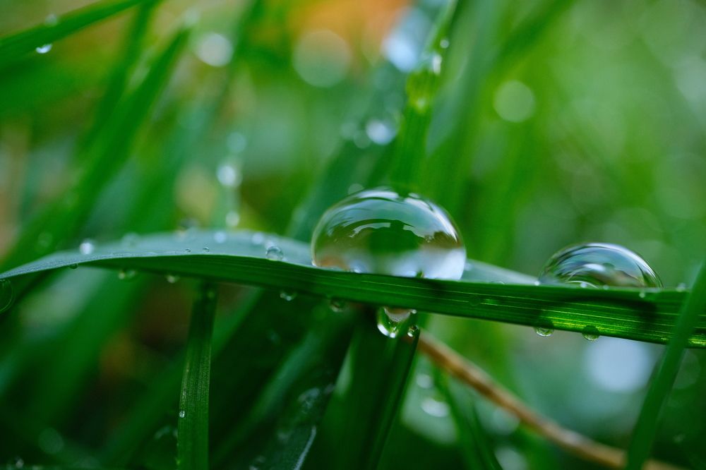 Photograph by Алексей Большаков