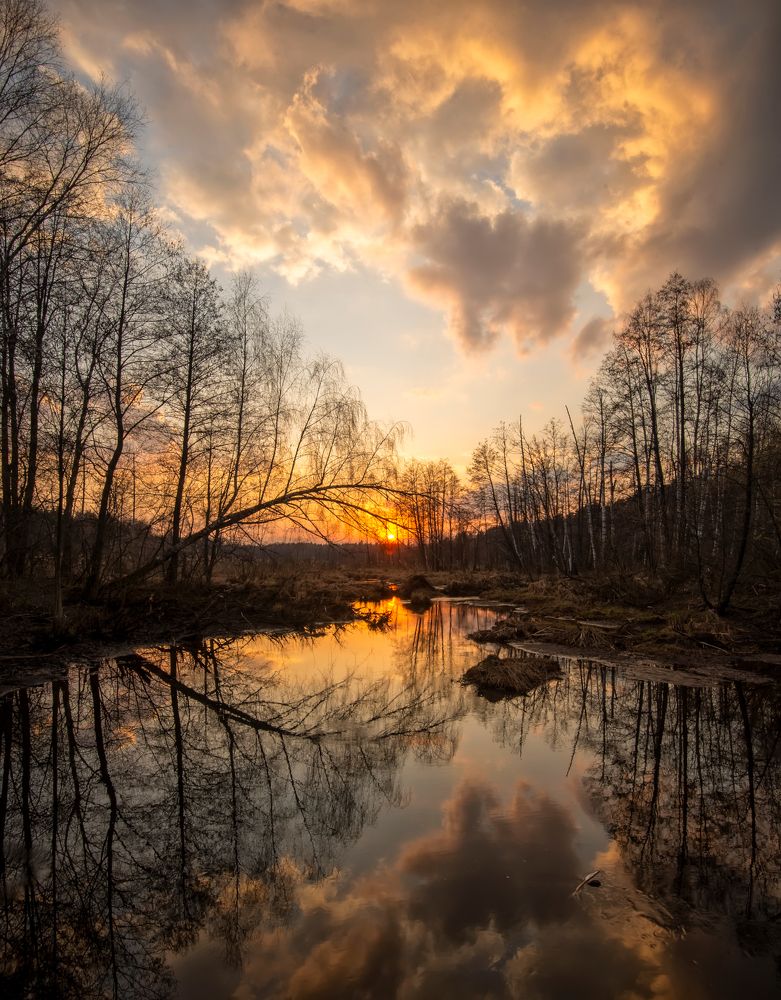 Photograph by Олег Пученков