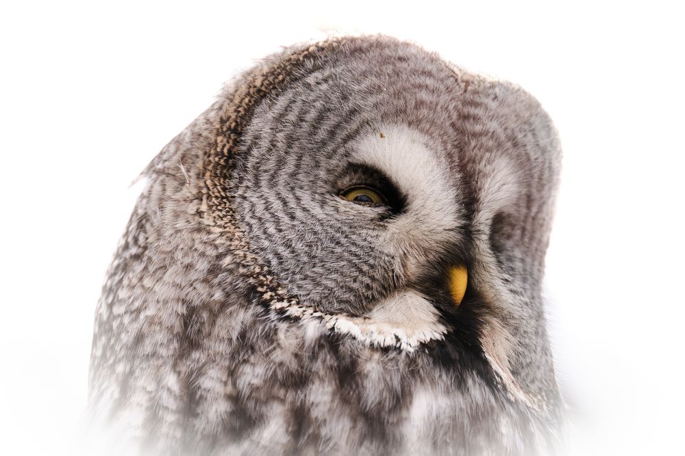 Photograph by Екатерина Аксёнова