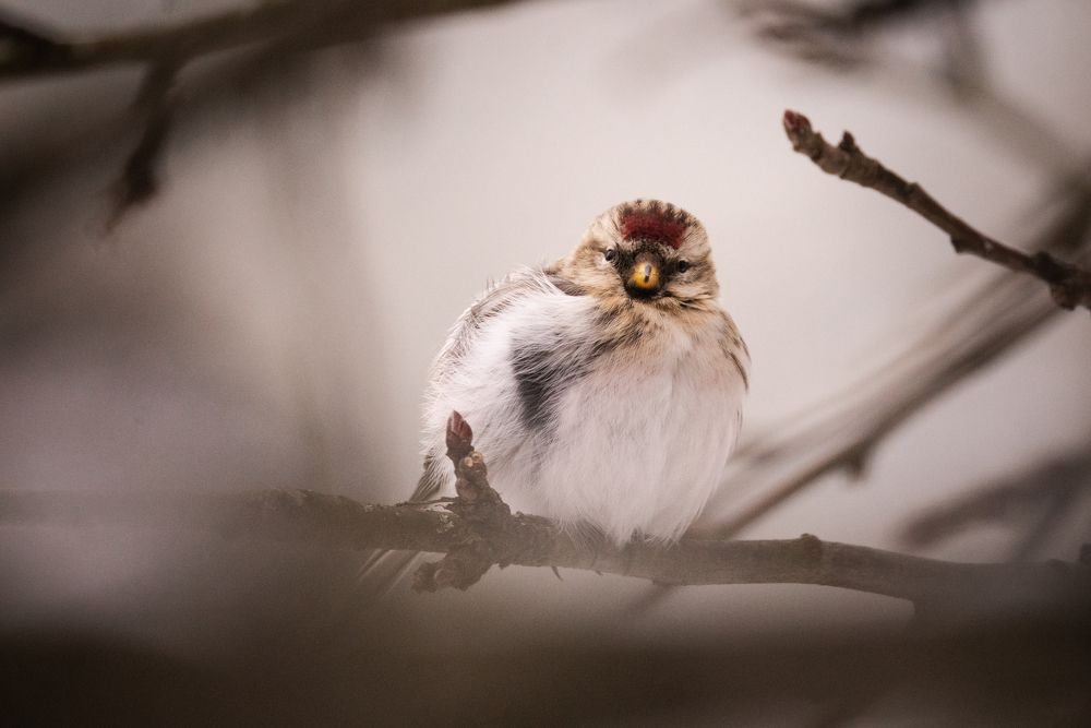 Photograph by Екатерина Аксёнова