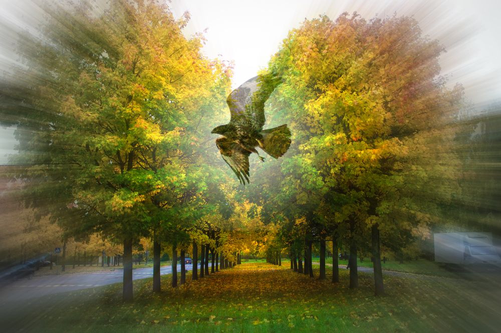 Фотография автора Юлия Кранина