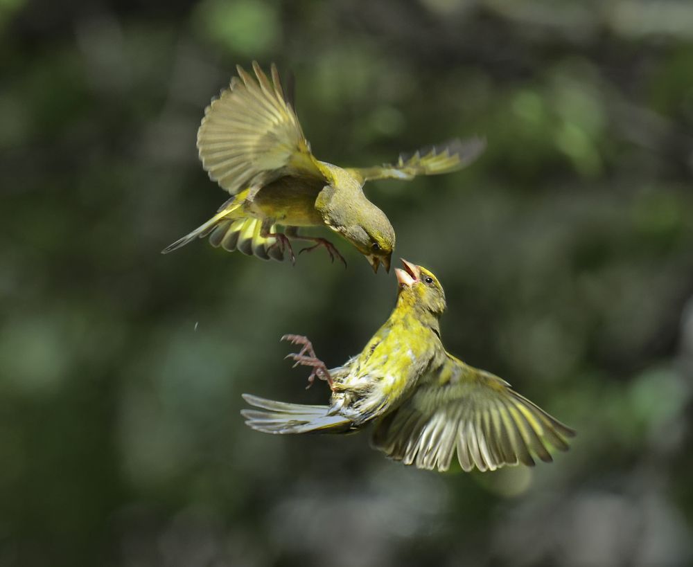 Photograph by Natalia Bolotenkova