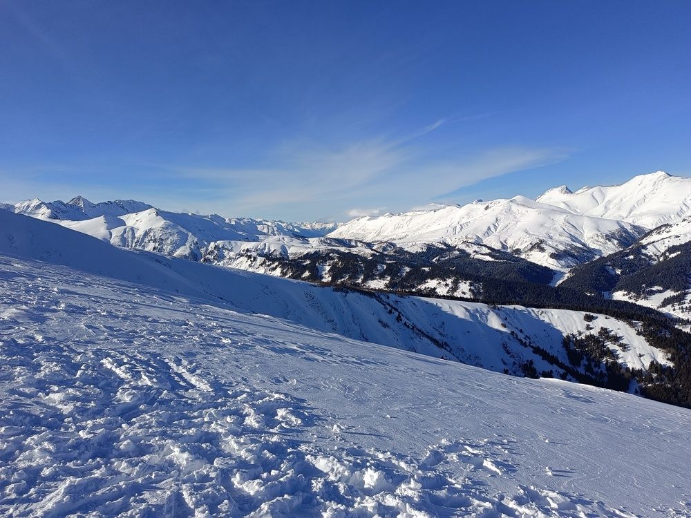 Photo #10355144