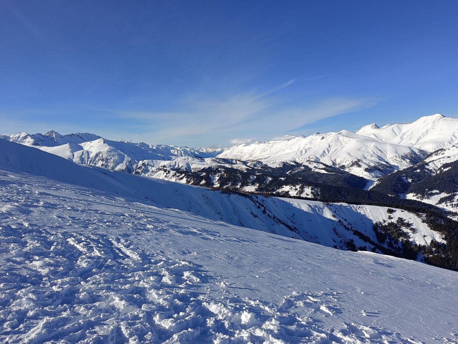 Photo #10355144