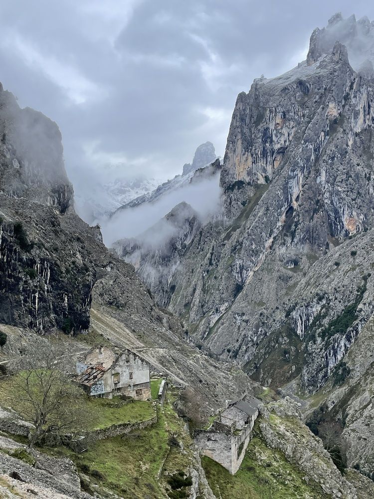 Photograph by Александр Белогаев