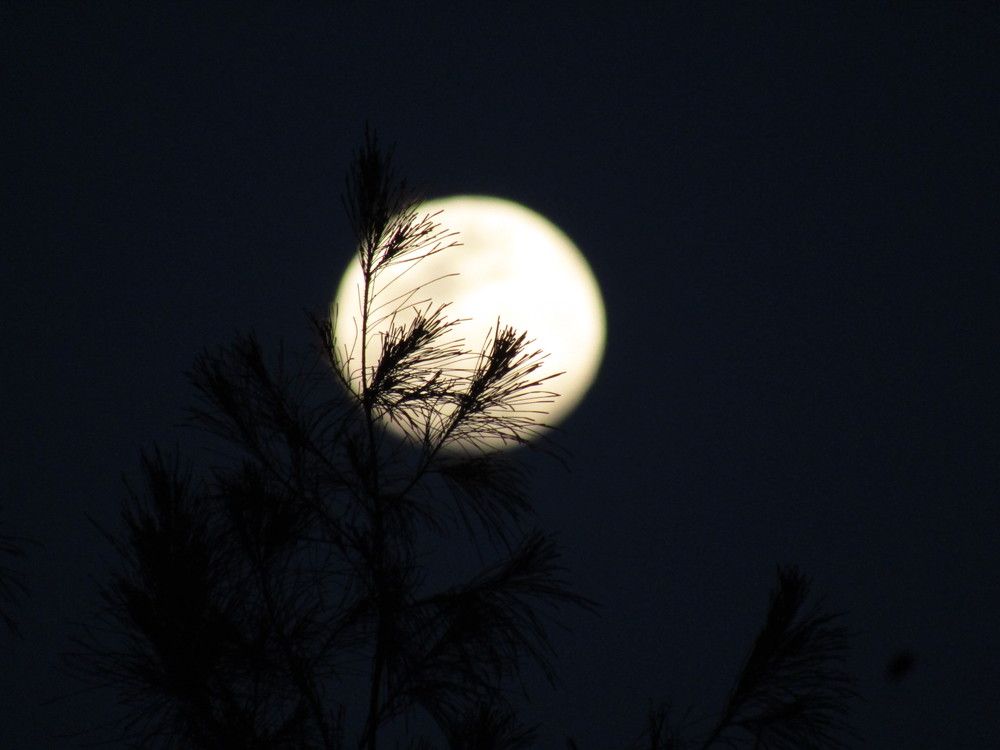 Photograph by Diptangshu Ghosh