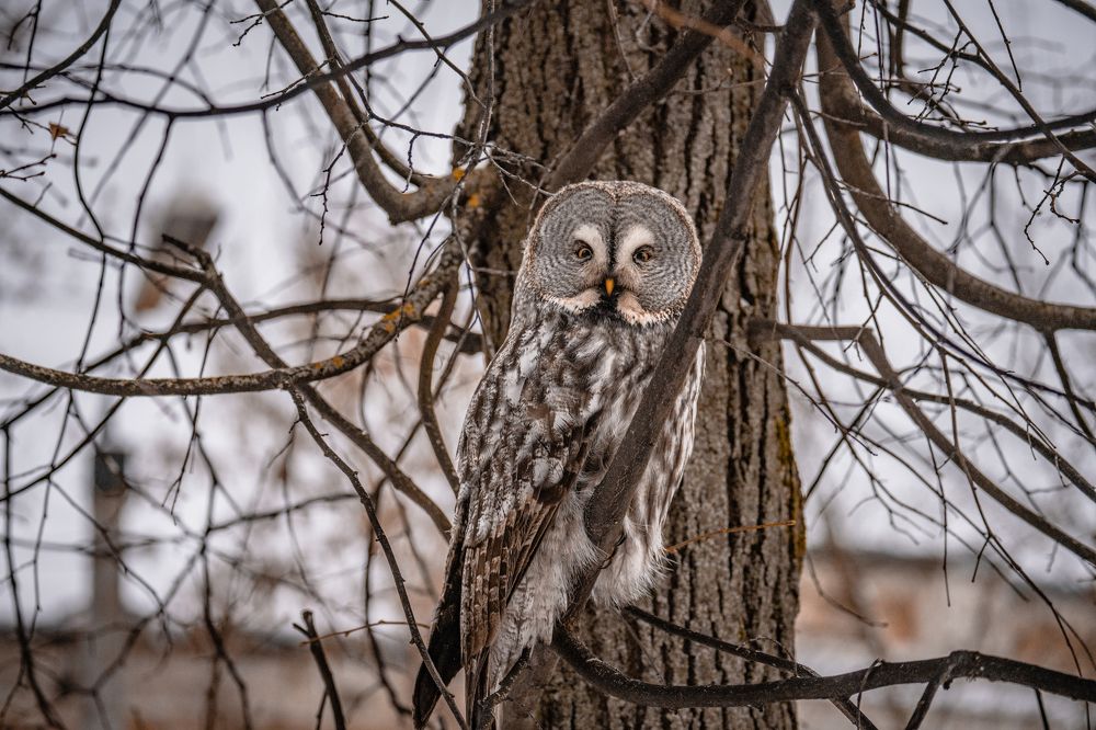 Photograph by Екатерина Аксёнова