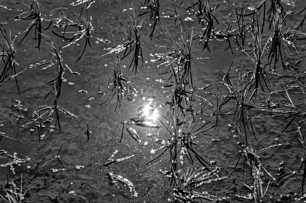 Фотография автора Nguyễn Minh