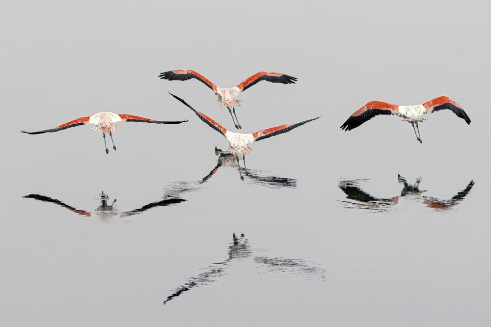 Photograph by Stamen Sotirov