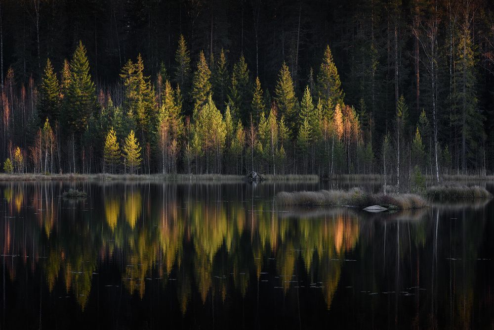 Прощальный взгляд на осень