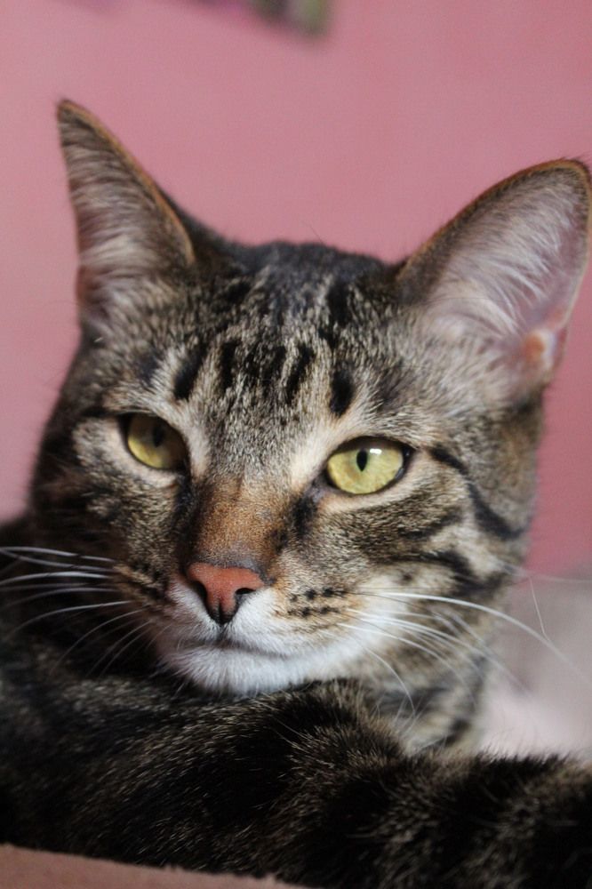 Photograph by Anna Emelyanova