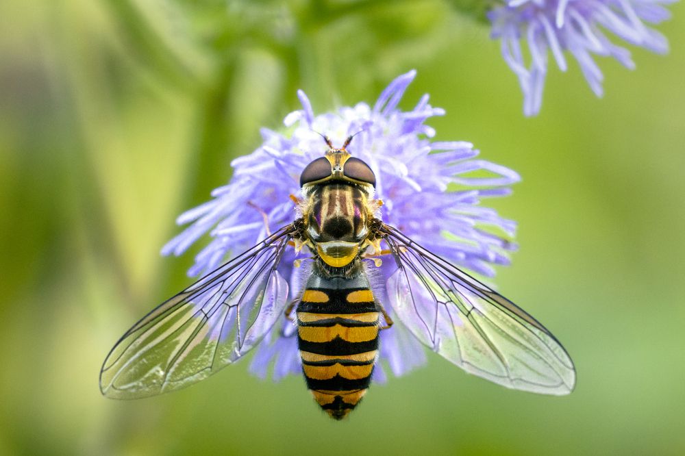 Photograph by Stamen Sotirov