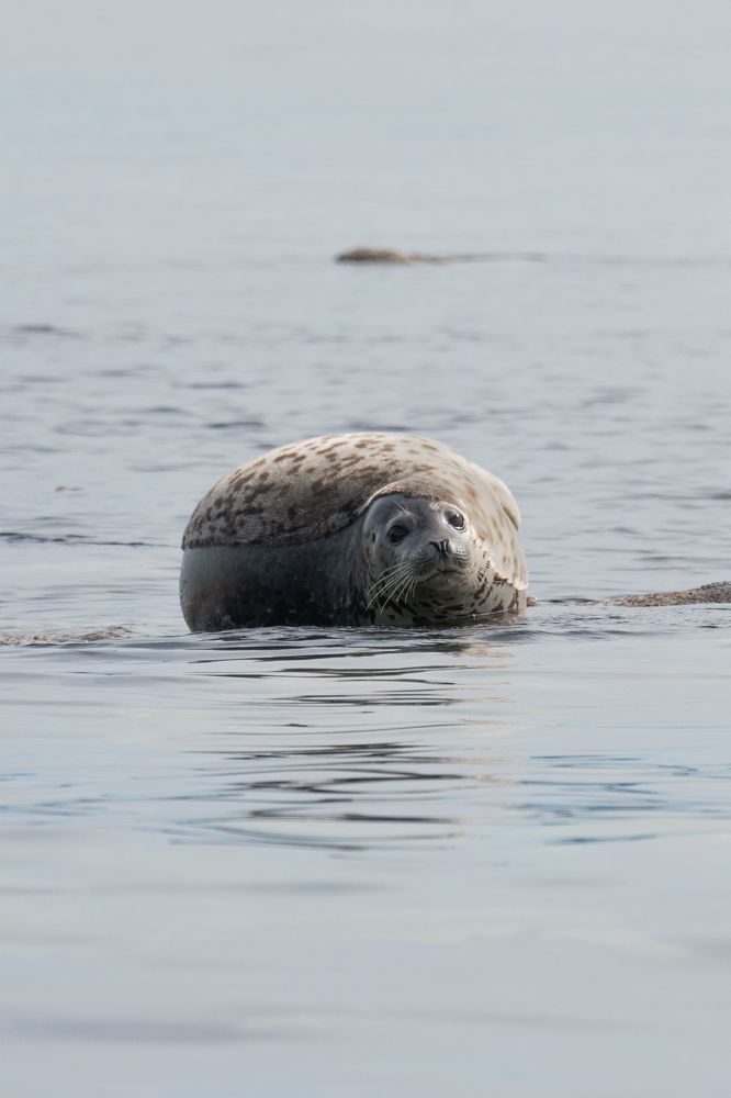 Photograph by Андрей Гусаров