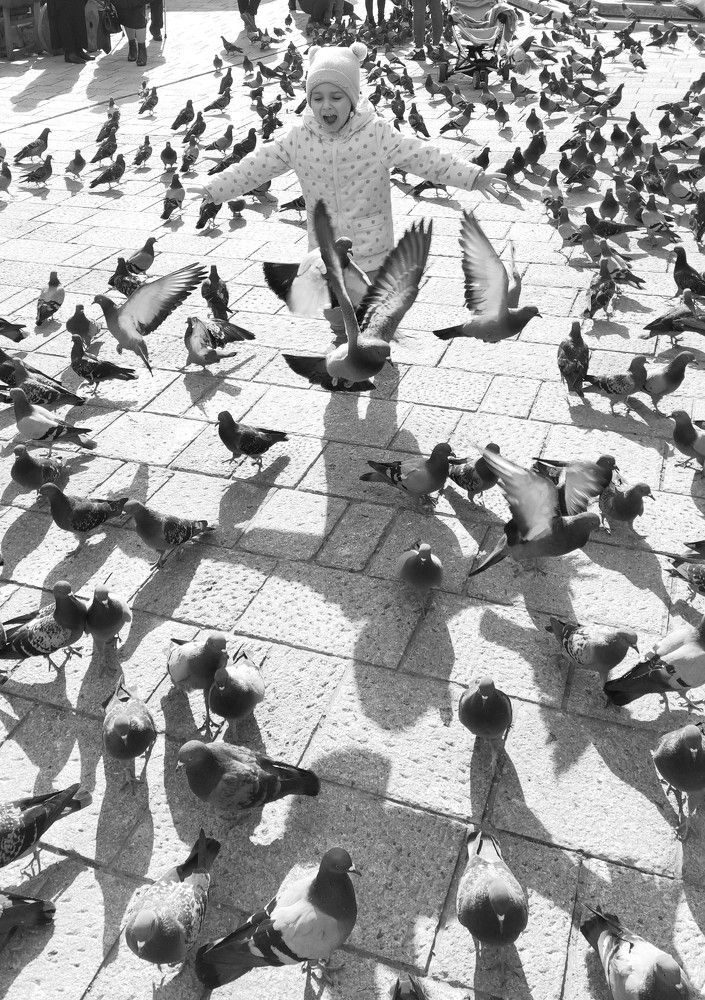 Photograph by Инесса Кочеткова