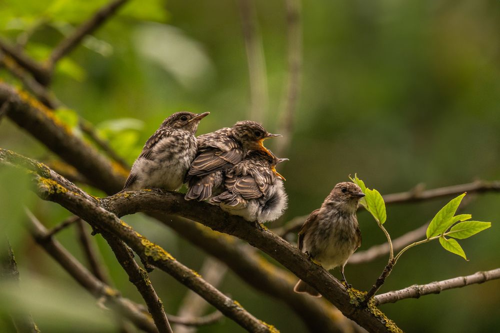Photograph by Екатерина Аксёнова