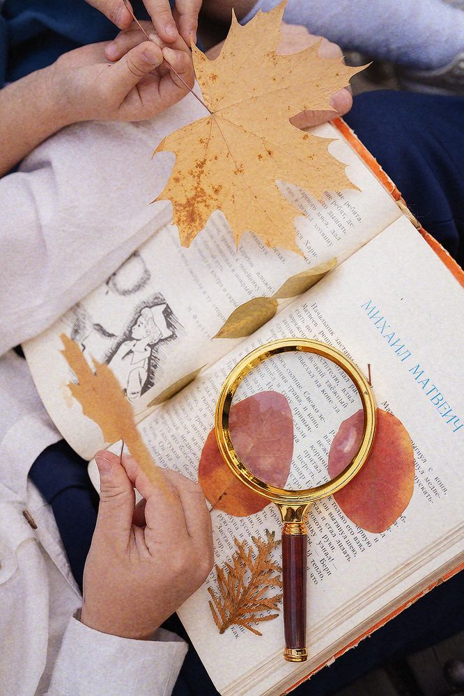 Photograph by Елена Захарова