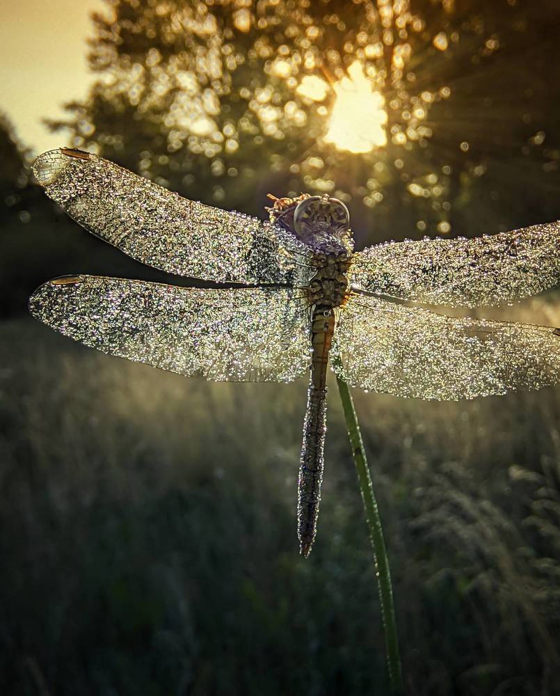 Photograph by Natalia Bolotenkova