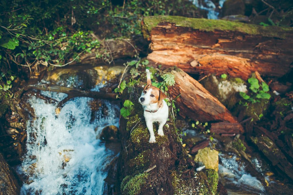 Photograph by Никита Воронин