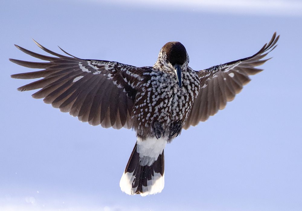 Фотография автора Viktoriya Kim